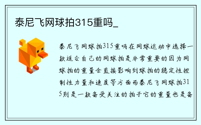 泰尼飞网球拍315重吗_