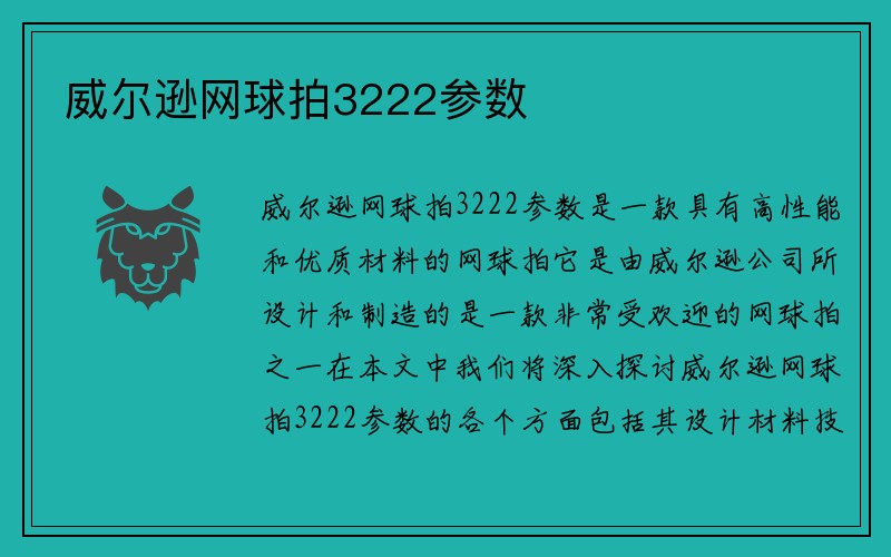 威尔逊网球拍3222参数