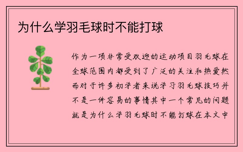 为什么学羽毛球时不能打球